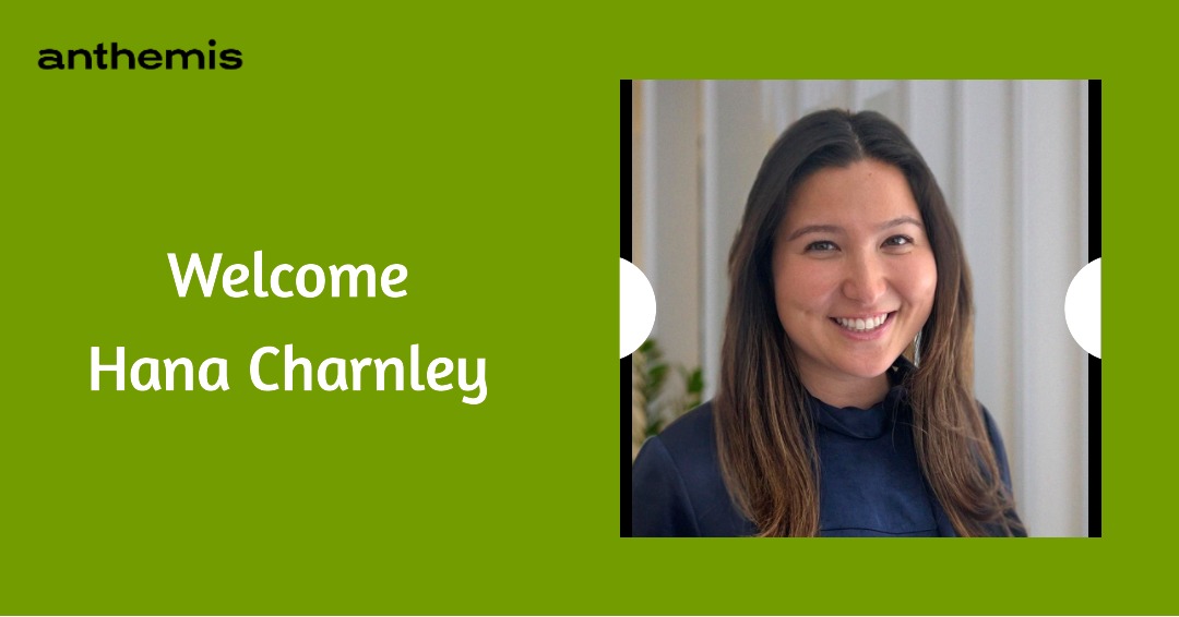 Anthemis tweet media