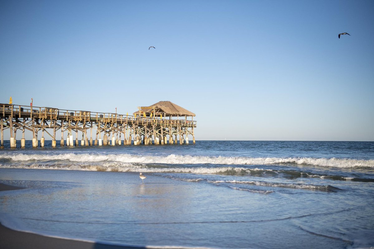 VISITFLORIDA's tweet photo. Summer has landed and there are so many choices on what Florida beach to hit this season! 😊 

Where are you headed first? 🌞🔑💦 #VisitFlorida #LoveFL

📍: Destin, Dunedin, Cocoa Beach https://t.co/1K4vVHrArJ