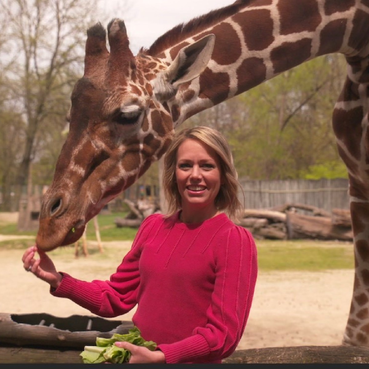Earth Odyssey with Dylan Dreyer tweet media