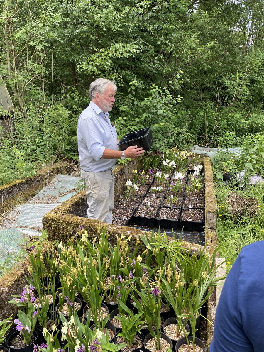 Aaron_Alpine's tweet photo. The final day of the @AlpineGardenSoc Young Persons Conference was a brilliant day at @HartsideNursery exploring the range of Roscoea and other specialities, and learning the craft of crevice garden building with Ian and Carol Bainbridge. Thanks to all the organisers. https://t.co/JOGCIyB44z