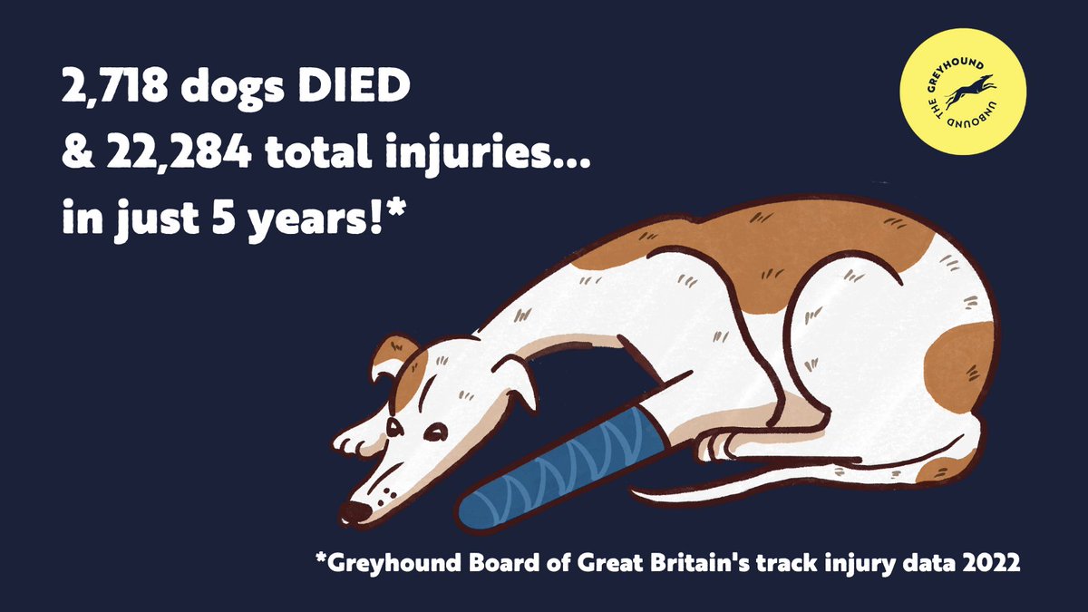 📢BREAKING
Today, the Greyhound Board of Great Britain (GBGB) released their 2022 track injury data.  

Between 2018-22, a shocking total of 22,284 injuries were recorded and 2,718 greyhounds DIED.

Sign the open letter➡️ bit.ly/unboundthegrey…
You don't have to live in Scotland