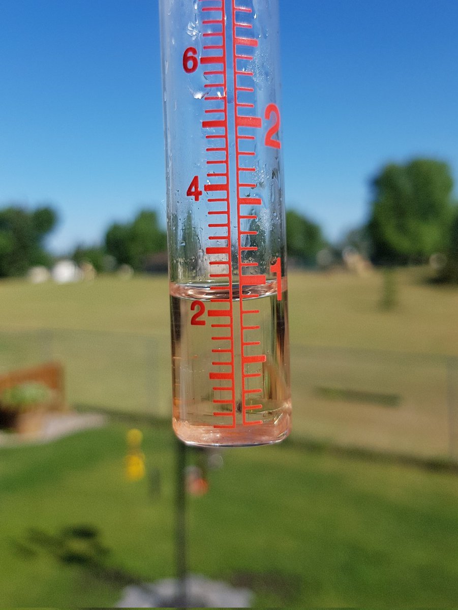 Another 22mm in the bin brings the #JuneMonsoon total in our yard to 113mm. After a week of sog the sky is extra fantastic blue this morning. #RedDeer #abstorm