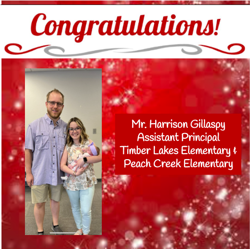 Timber Lakes Elementary tweet media