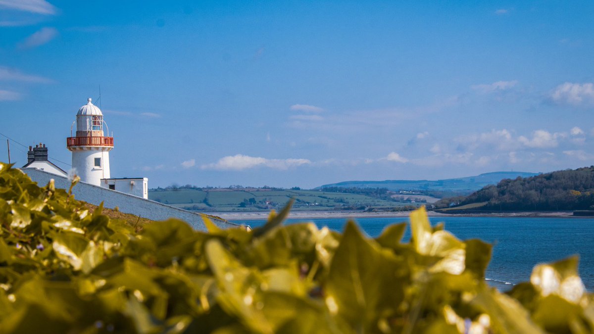FotaIsland's tweet photo. 📍 Escape &amp; Explore

Discover the perfect escape at Fota Island Resort, offering luxurious hotel accommodation nestled in the heart of the beautiful East Cork Countryside.

Stay a little longer and save up to 15%

https://t.co/xT0OAc2lWo https://t.co/g9hIHXKx4A