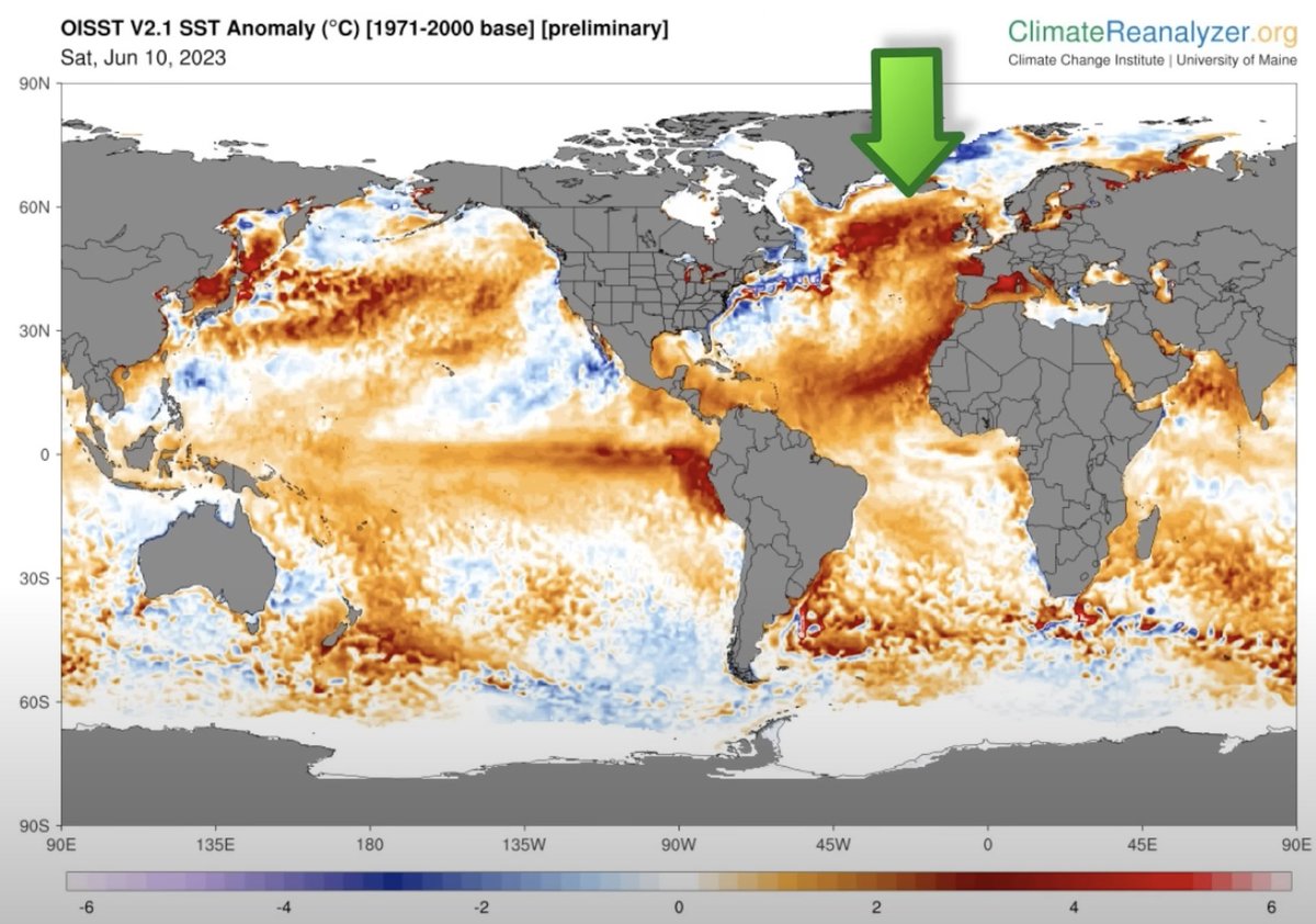 Brice Fernandes tweet media