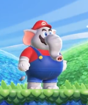 #NintendoDirect 
mon crush : "les mecs qui vont trop a la salle c'est un peu redflag"
moi :