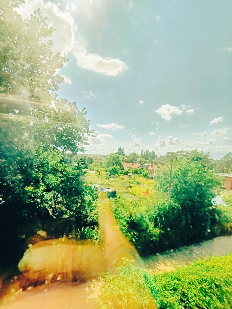 I took this #landscapephoto today - #HappySummerSolstice #2023 #landscapephotography 
Can you share #photos of your lovely #wild #backgarden 🏵️🏵️🏵️ & your lovely #frontgarden 💐💐💐 Andy? #Oaktree #thegreengreengrassofhome #photographylovers #skyphoto #thegreatoutdoors #nature ☀️