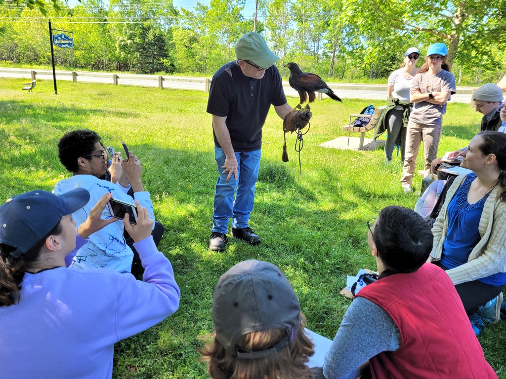 Dr. Sarah Gutowsky tweet media