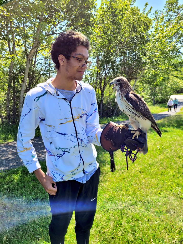 Dr. Sarah Gutowsky tweet media