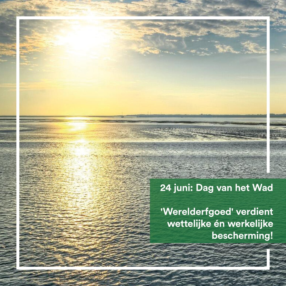 14 jaar geleden werd de #Waddenzee uitgeroepen tot
UNESCO Werelderfgoed. Terecht! 💚
Maar helaas wordt het unieke Waddengebied, ondanks deze op papier prachtige status, nog steeds gebruikt als wingewest en afvoerputje.

📣 Tijd voor échte bescherming!
📜 👉partijvoordedieren.nl/nieuws/bescher…