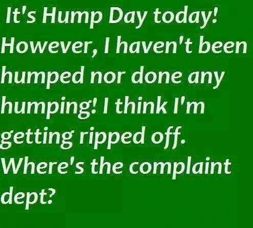 #YouShouldFollowMeFor all your Humpday needs 🤣