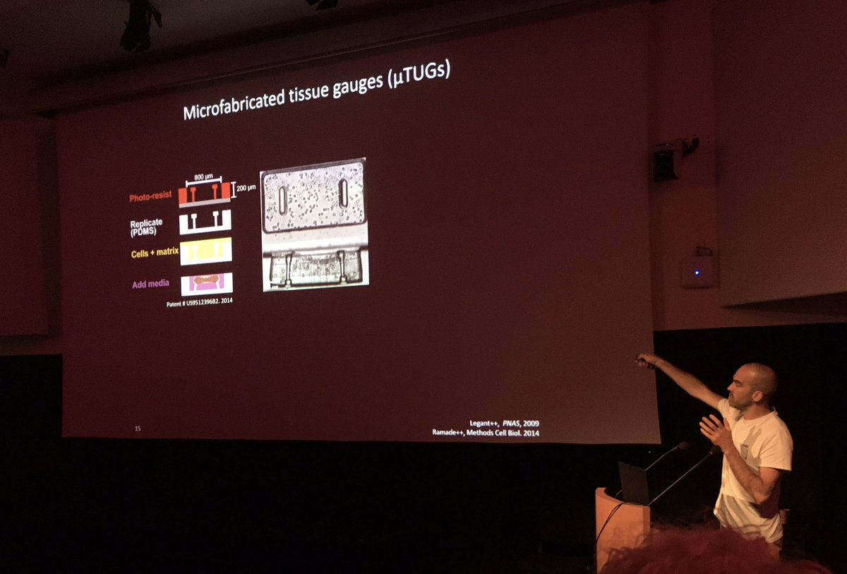 LydiaDanglot's tweet photo. Last cession of our @GDR_ImaBio and @GdrAQV  biosensoid symposium with Thomas Boudou and Bas Ponsien talking about 3D organoids contraction on tiny microfabricated pilars and ERK signaling thought 3d time fret imaging. Thank you so much for those amazing approaches. https://t.co/AwoeIlvLkj