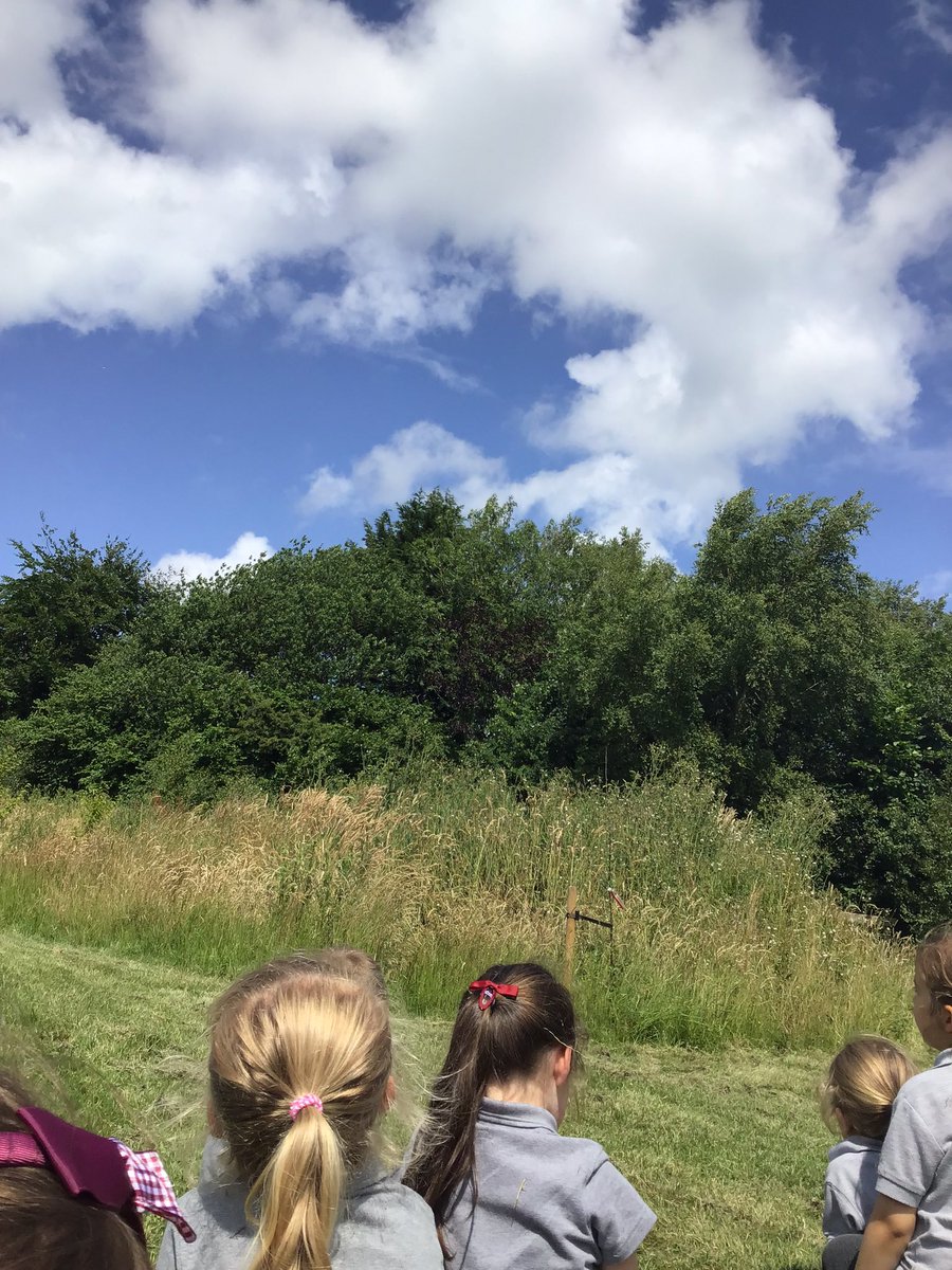 In forest school we have been doing some meditating and cloud watching. What can you see? ☁️ <a href="/forestschoolbps/">@ForestSchoolBPS</a> <a href="/BlackrodPSch/">Blackrod Primary</a>