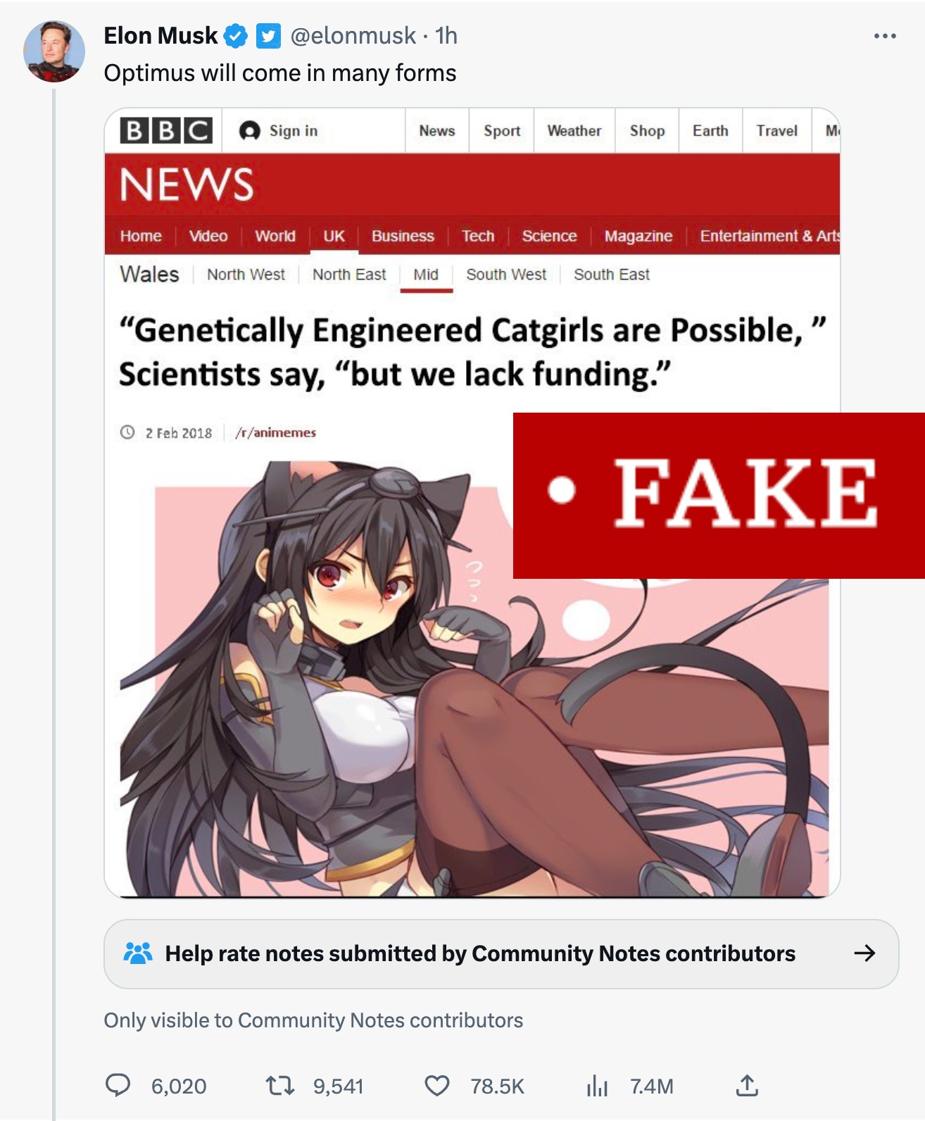 Genetically Engineered Catgirls