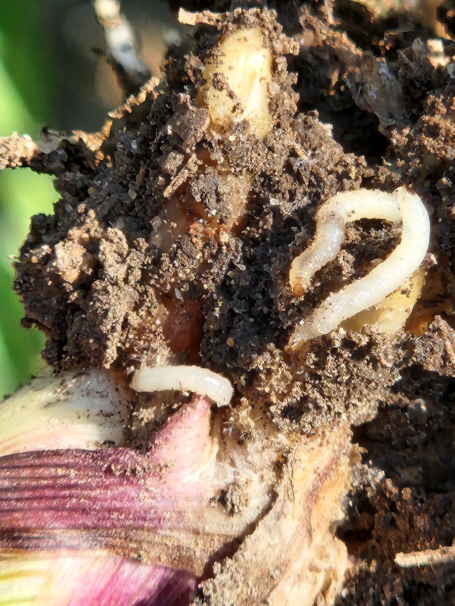 Bruce Potter tweet media