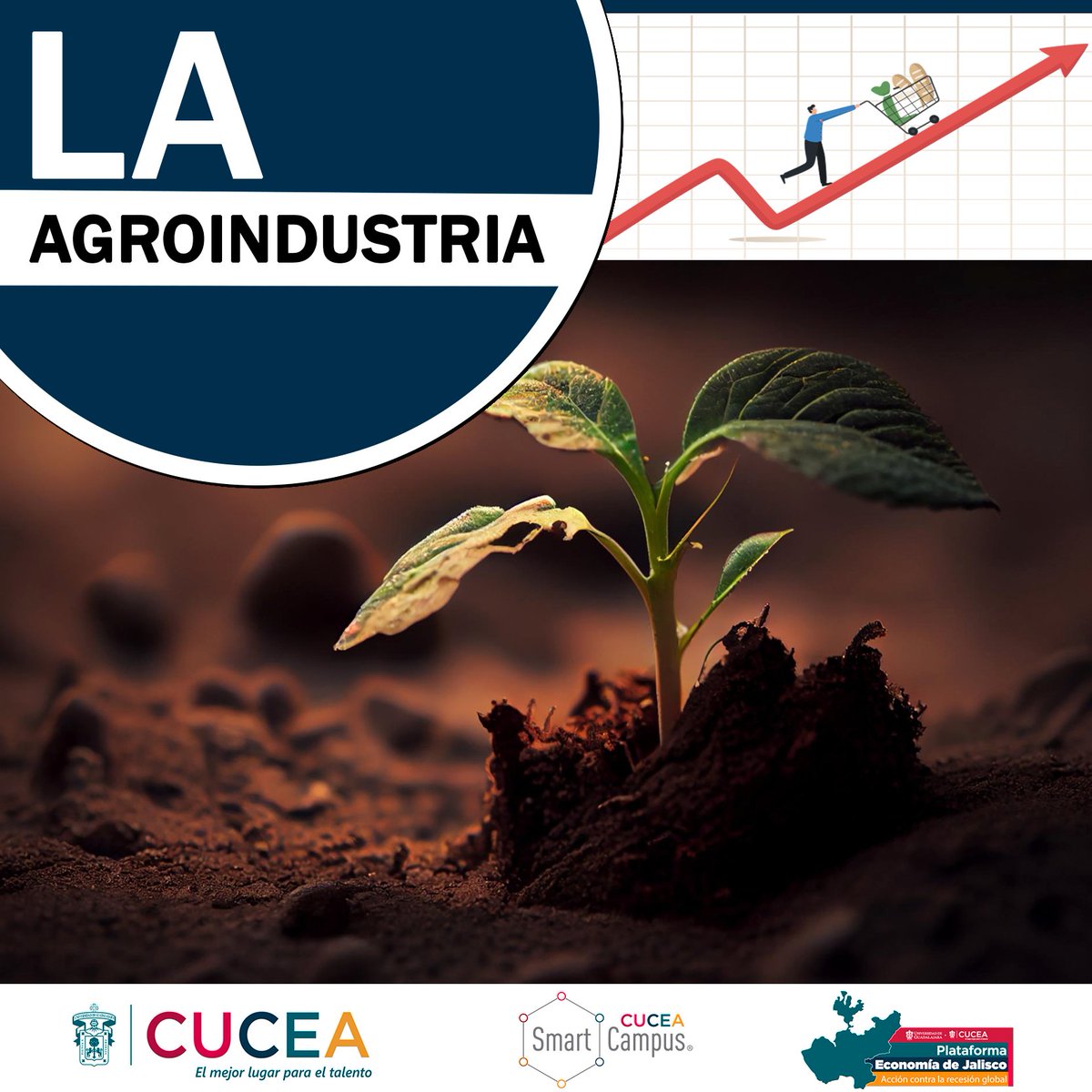 EconomiaJalisco's tweet photo. 🌱🌿 La #agroindustria es un actor clave en la economía mexicana. Conoce más sobre su impacto, situación e importancia con nuestro nuevo documento sobre la agroindustria en #México y #Jalisco.

🔗https://t.co/RS2cZ86ucl

#CUCEA #SmartCampus #PLEJ https://t.co/OSMai70sd8