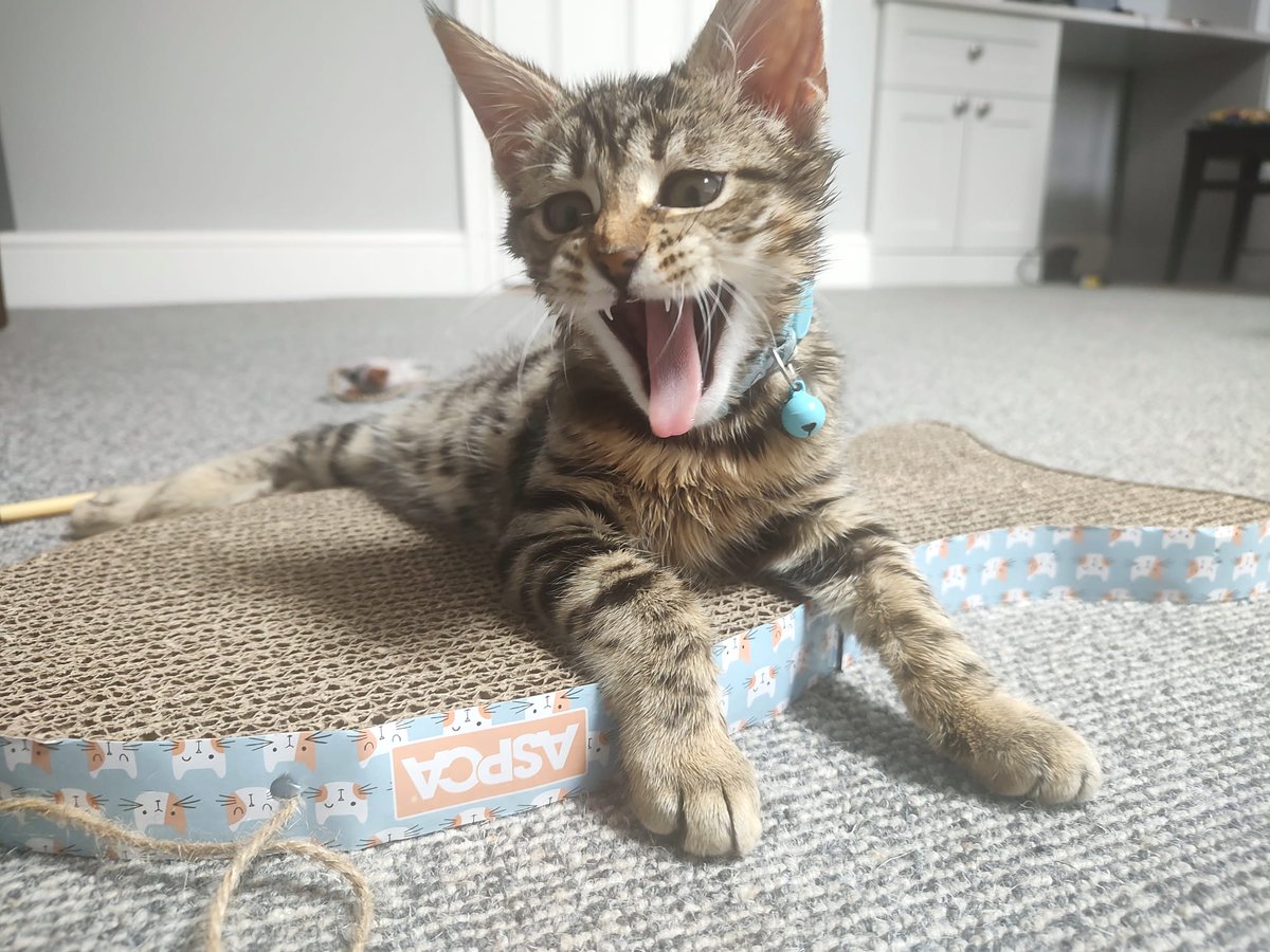 Dimitrios Polymenos tweet media