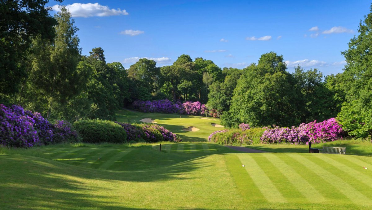 IGC_London's tweet image. Check out the great reviews of @coombegolf
on the @golfshake website:
golfshake.com/course/view/14…

Join us there on Thursday July 13th! 
igclondon.co.uk/golf-days/coom…

#golfuk #IGCGolf #golfinguk #golfdaysuk #golfdays #ukgolf #coombehillgolfclub #kingstonuponthames