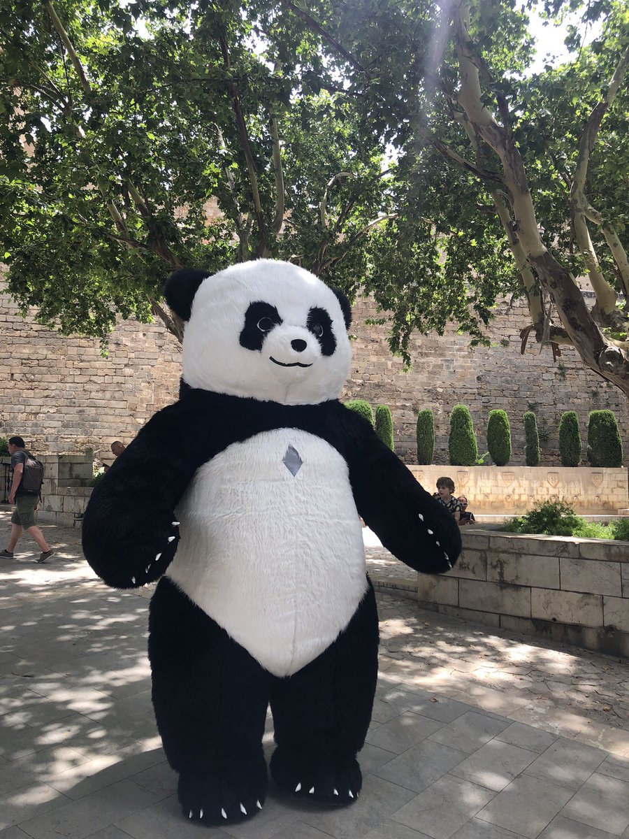 I’m not quite sure what they feed the pandas in Spain because this one is enormous