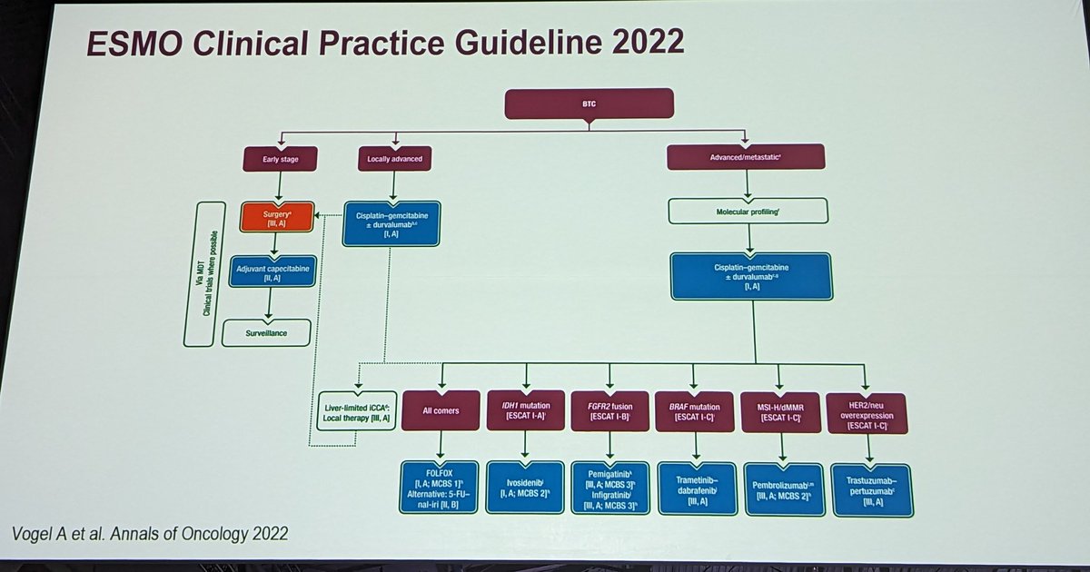 @ArndtVogel concludes the #EASLCongress PG course with discussion about cholangiocarcinoma. Increasing treatment options. Molecular testing recommended for treatment selection #LiverTwitter @EASLedu