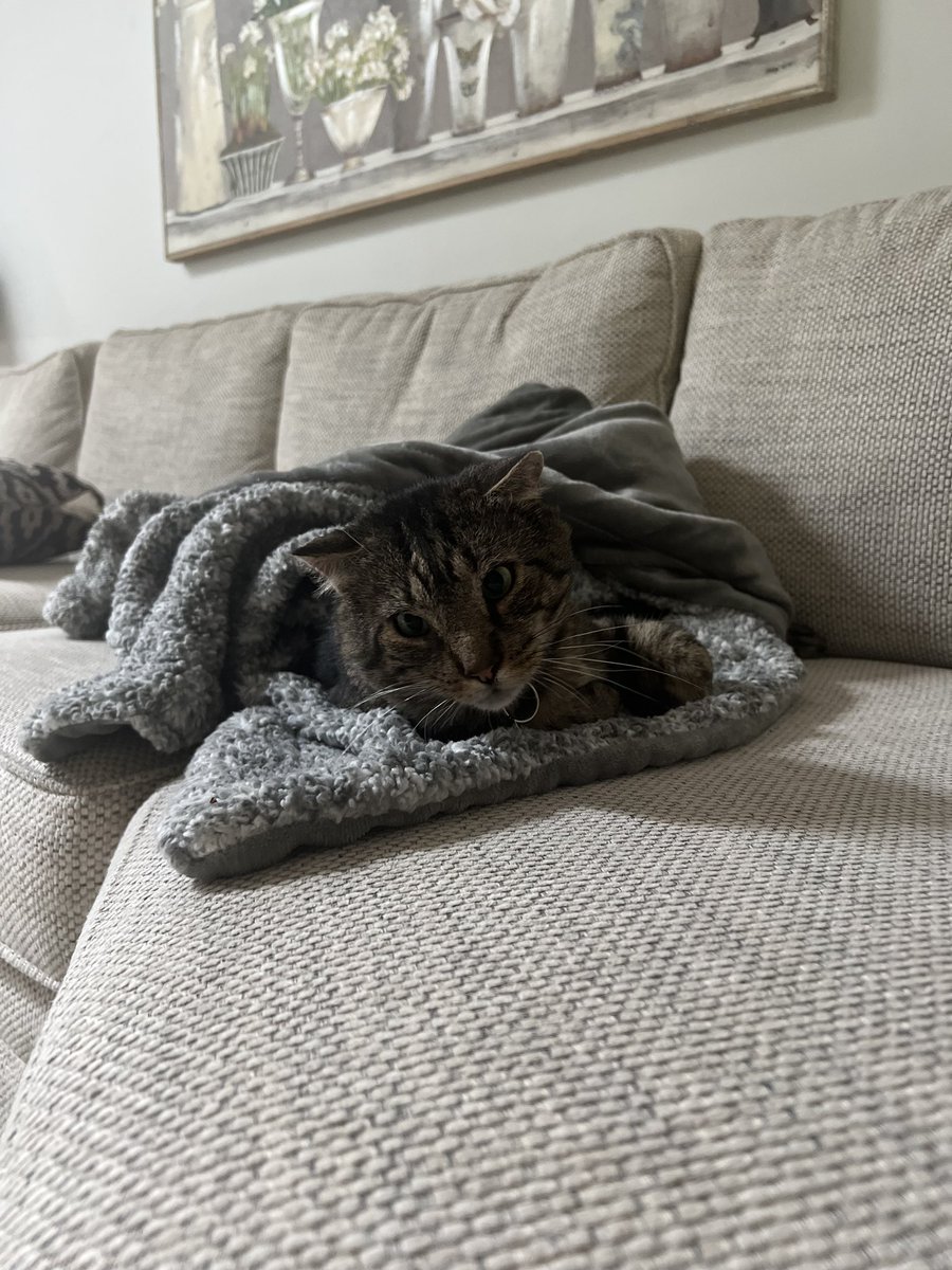 i luv fuzzy blankies :3