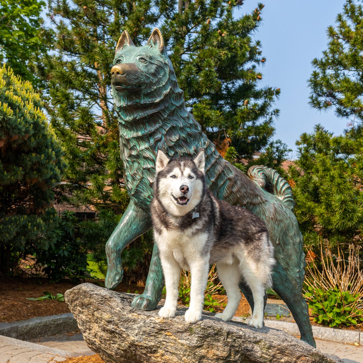 Happy First Day of Summer! ☀️😎

#BleedBlue