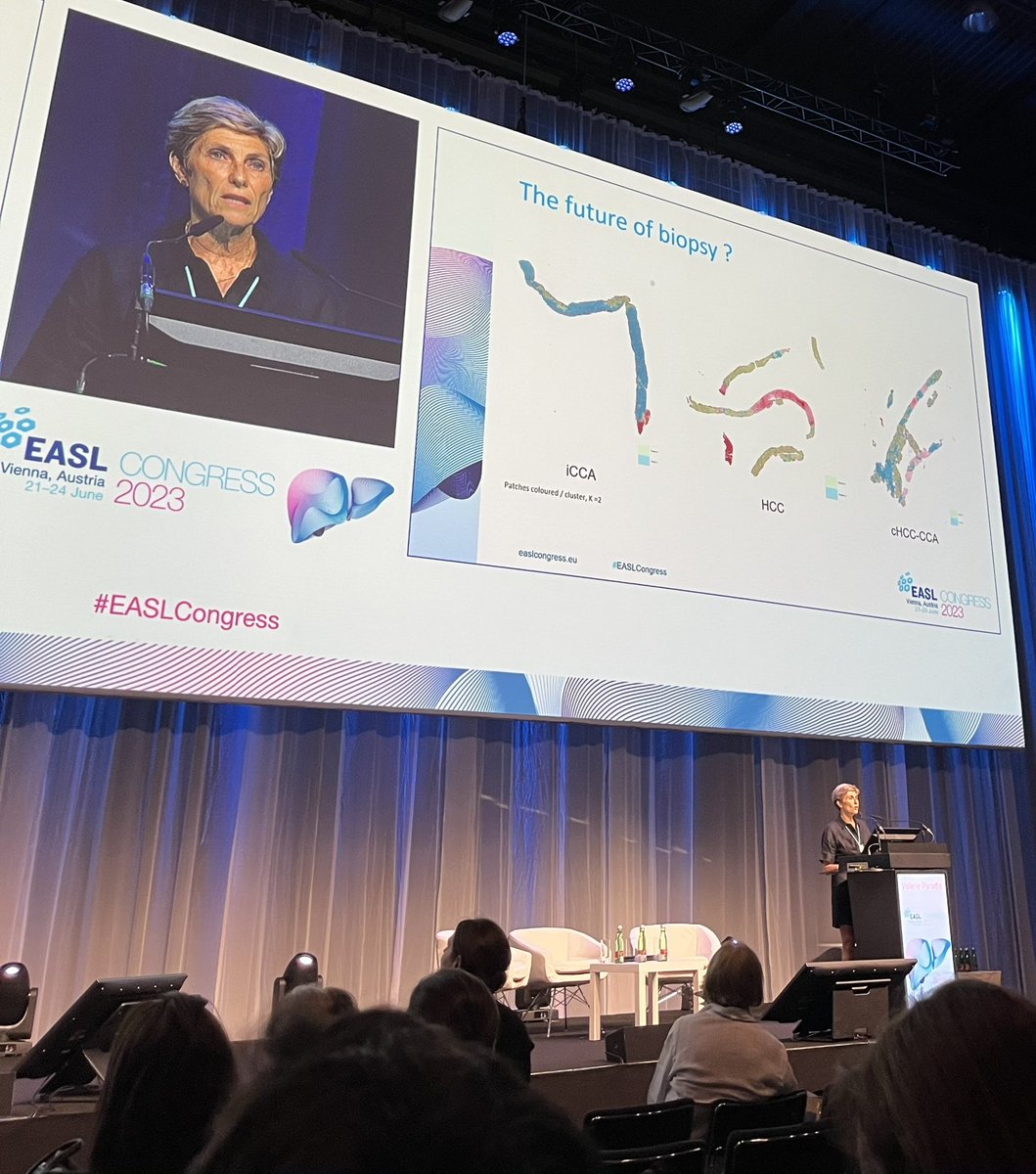 DinaTiniakos's tweet photo. @valerie_paradis discussing superbly #patholgy and #AI in #HCC diagnosis. The future of liver biopsy in HCC looks colourful!, as in the photo 🌈 @ESP_Pathology @EASLnews @my_ueg @uklpg @IAPCentral @LiverPath_HPHS @BritishDivIAP @LITMUS_IMI https://t.co/KxrpC77mMh