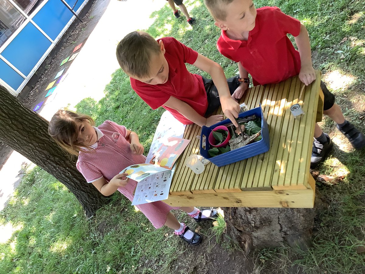 EastwayPrimary's tweet photo. Some brilliant reading for a purpose in Year 2. We have made a mini beast hotel to recap our work on habitats. Then, we have selected books to research what minibeasts we have found and how to look after them #eastwayscience #eastwayreading https://t.co/G5XxNURao2