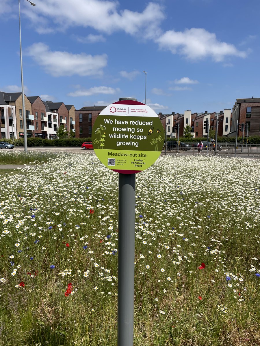 It’s for that reason, Lawley Partnership Board has led a new initiative to support local wildlife in Lawley. You may have noticed areas around Lawley planted with wildflowers and won’t be mowed this summer. https://t.co/2m4kSOVmta