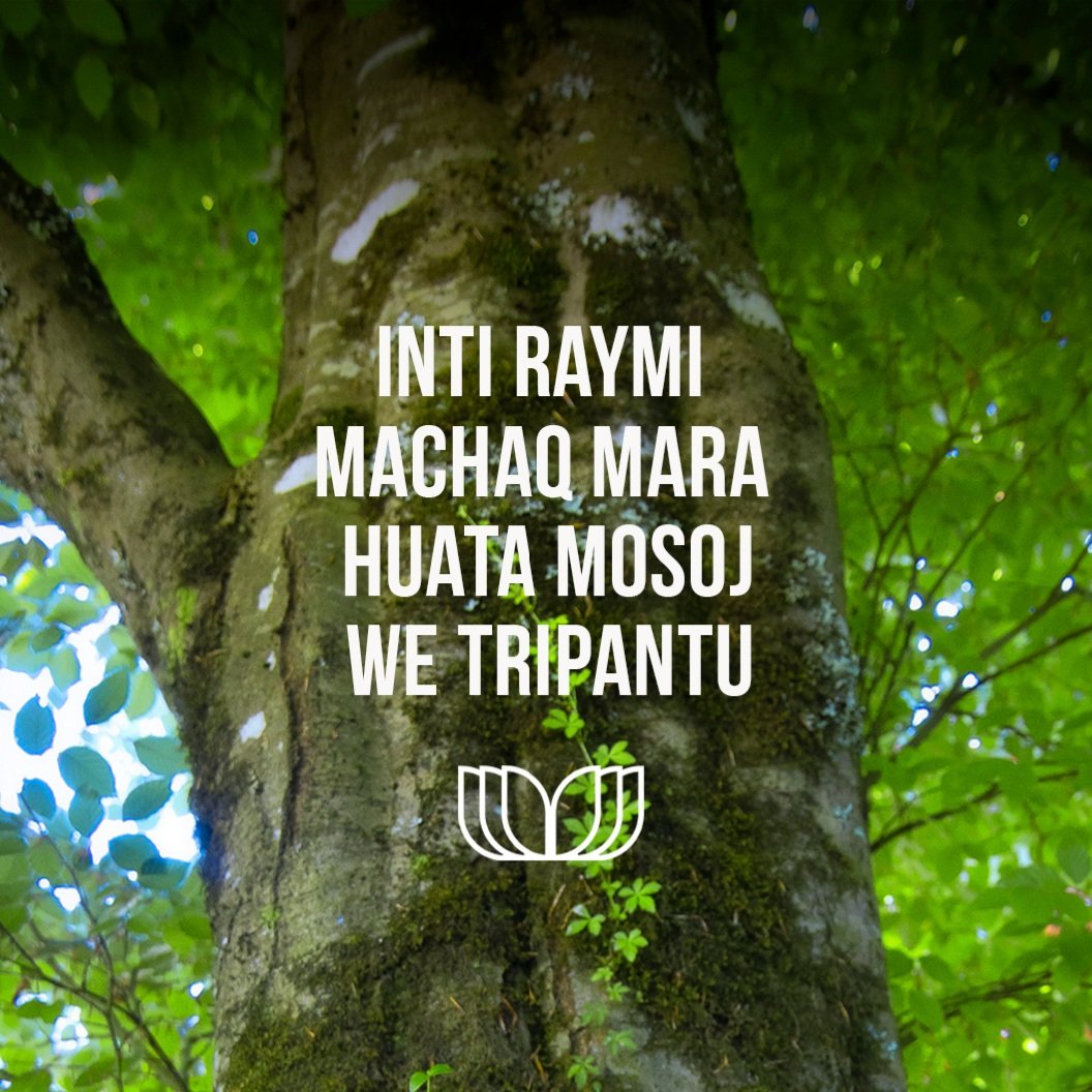 Libro Verde tweet media