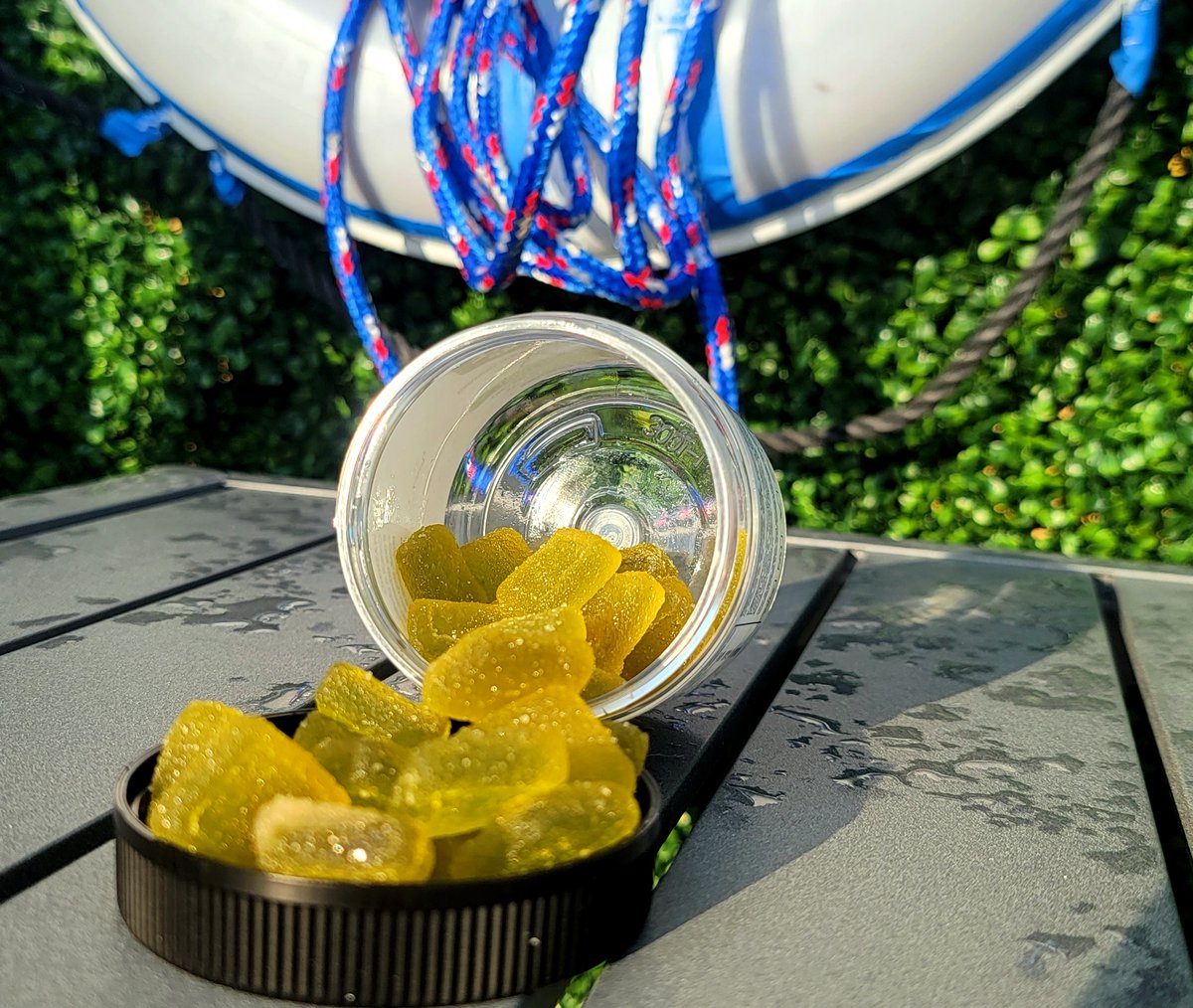 🌴🌿 Embark on a tantalizing journey with our Tropical Fruit Gummies from Pure Hemp Shop! 🌟🔥
l8r.it/0Vls
🌴🍍🍋🥭
#Adventure #ElevateYourExperience #PureHempShop #TropicalAF 
 #cbd #d8  #wellness  #cbdgummies #photooftheday #edibles #enjoylife #wellbeing #selfcare