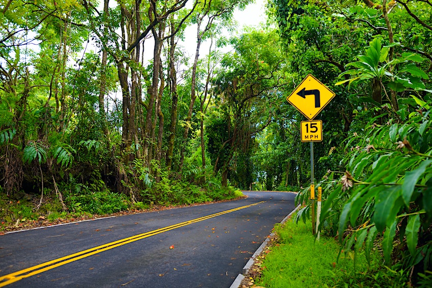 You won't soon forget experiencing these #roadtrips on Maui. #Hawaii  cpix.me/a/172033073