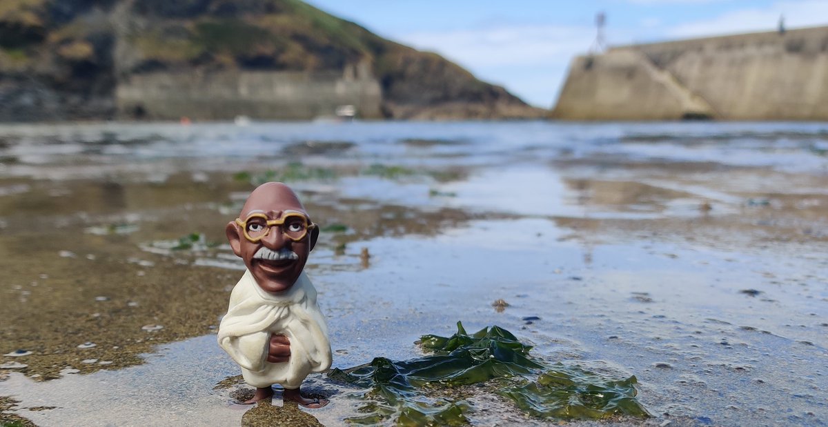 MiniMahatma's tweet photo. Getting my toes wet in Port Isaac harbour. I hope the local fishermen don't mistake me for bait. #minigandhi https://t.co/X5eo6IVd5c
