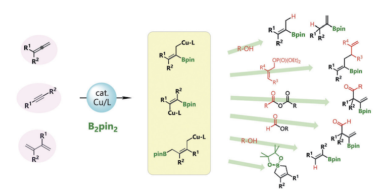 Szostak_Group's tweet photo. #NHCs #NHeterocyclicCarbenes Fujihara group published an interesting review on #borylative #difunctionalization of π-systems. Cu(I)-NHCs play a major role in this thriving reaction manifold! @thiemechemistry
https://t.co/KRgiokfR5O https://t.co/4rZ92mHpTD