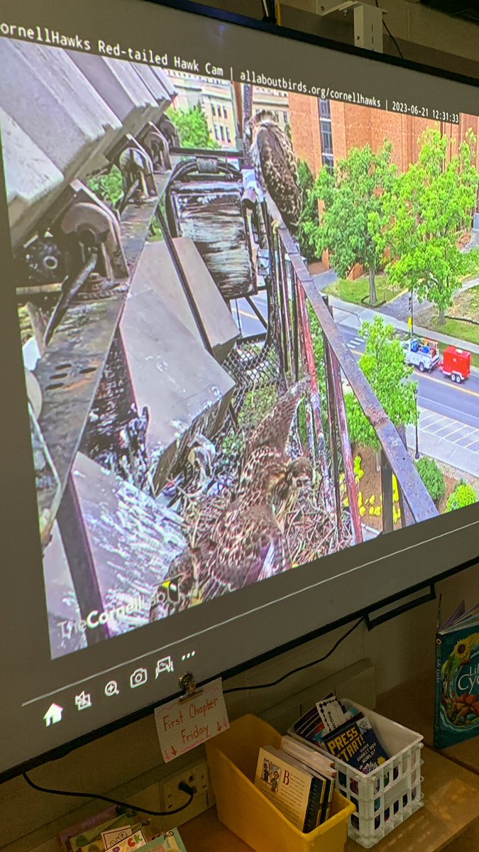 Mrs. McDaniel’s Third Grade Class tweet media