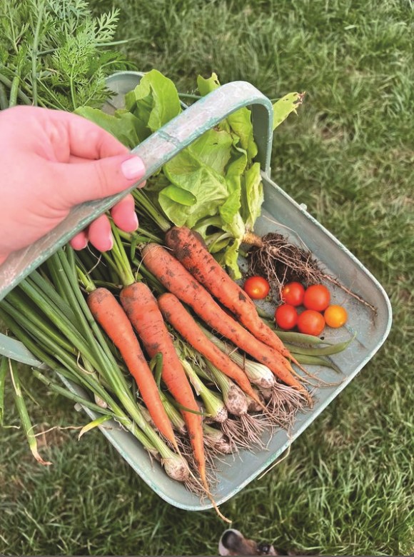 Double your harvests this season and beyond with our top tips! growfruitandveg.co.uk/blog/double-yo…
