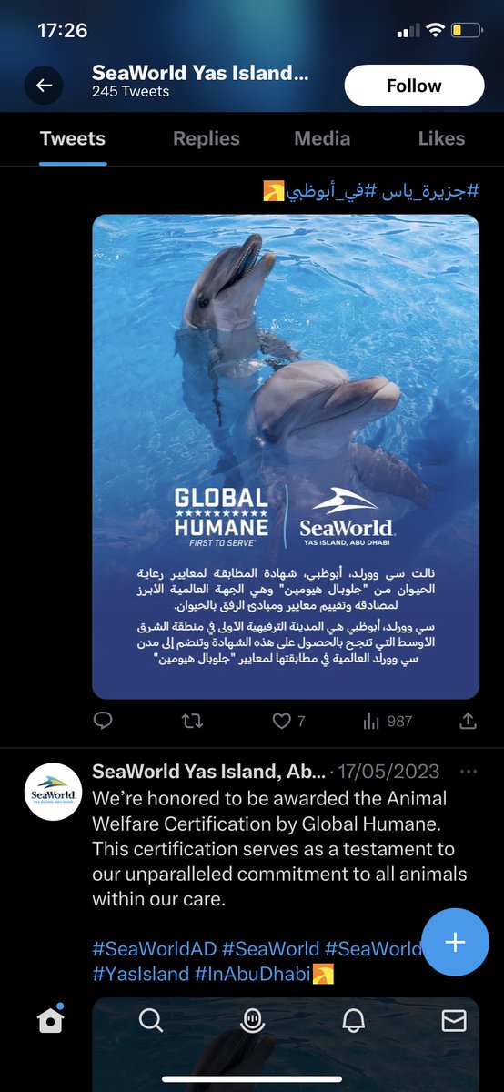 wishformorgan's tweet photo. Animal exploitation at Seaworld Abu Dhabi. Shame on #aGlobalHumane for awarding them this reward. #emptythetanks #saynotocaptivity https://t.co/vYdso1ka74