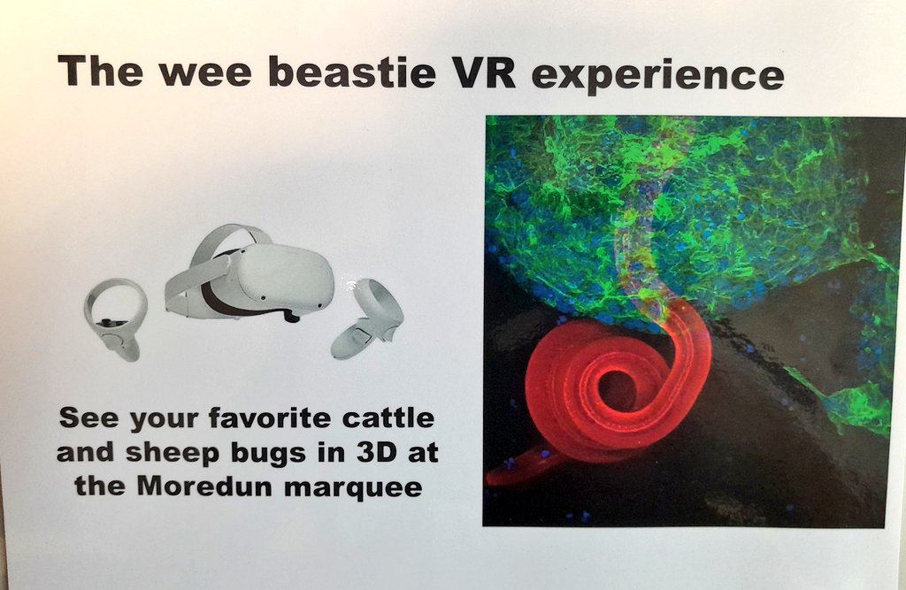 @MoredunComms @ScotlandRHShow @The_RHASS @philip_skuce @stewart_burgess @GeordieParasit @eilidhsartwork @Lynsey_Melville @fi_kenyon @al_nisbet @adhayward18 I can't wait to see the feedback on our VR parasite experience using #ExMicroVR @immscivr . @AmbreChap @HildersleyKatie @GeordieParasit 
Pathogens include gut worms, toxoplasma, Johne's disease and ovine pulmonary carcinoma and of course our organoids.