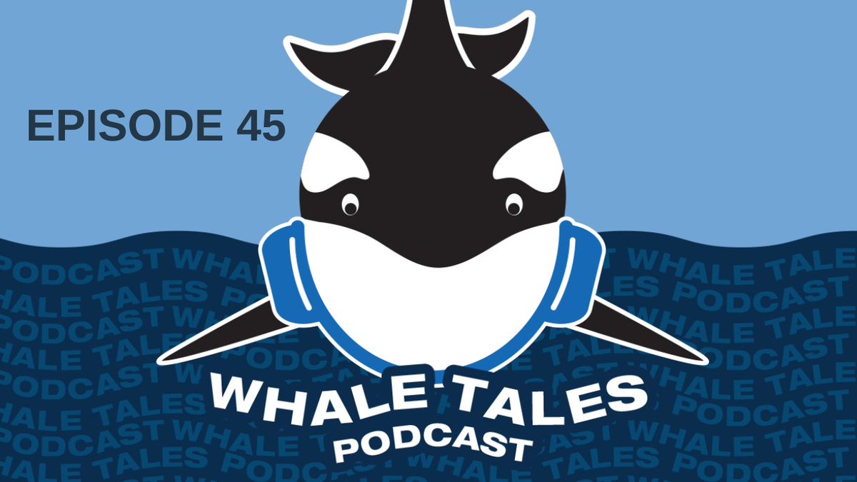 In Episode 45 we talked to Judith Scott about Icelandic Orcas - it wasn't during #OrcaActionMonth but you can still enjoy it this month! 
buff.ly/3OIVp3a 
#WhaleTales #WhaleTalesPodcast