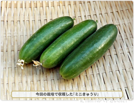 mi_petosai0141's tweet photo. 🍀フォロワーの皆様へ🍀
おはようございます😄

今日はペトさいのブログ記事を書く為、できる範囲でツイートしますのでお付き合いの程ヨロシクお願いします🙇

下記リンクからブログへの応援ポチして下さると励みになります😂
《ブログURL》https://t.co/1JPQGNsrvh
素敵な一日をお過ごし下さい☺️ https://t.co/Om8amrjCJs