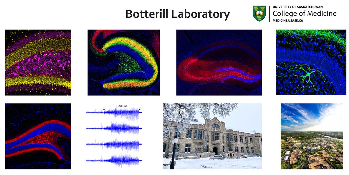 Please retweet! The Botterill laboratory at @usask is still hiring graduate students and postdocs to investigate the neurobiology of epilepsy in mouse models. Project overview and contact info in the job posting below: #scijobs #epilepsy #neurocience
jobrxiv.org/job/university…