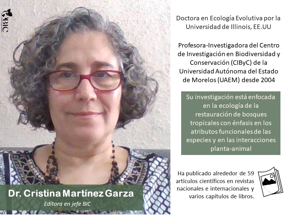 BIC_UAEM's tweet photo. Para cerrar nuestro ciclo de #publicaciones sobre el #equipo directivo te presentamos a la Dra. Cristina Martínez Garza.
Recuerda que puedes suscribirte en: https://t.co/2nWMaHYKSI https://t.co/VXlVh5flwW