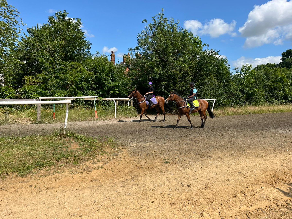SPearce_Racing's tweet photo. A beautiful morning out on Newmarket Heath watching Hanoverian King #racehorse #horseracing #newmarket #newmarketheath @NewmarketGallop @ElTel65 https://t.co/684Dr5PSzg