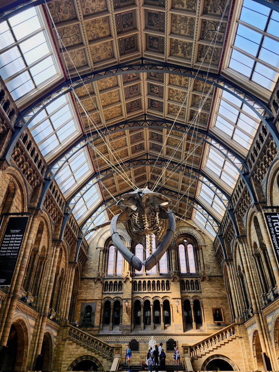 Chris_J_Law's tweet image. Finally made it to the @NHM_London after a 3 year delay!