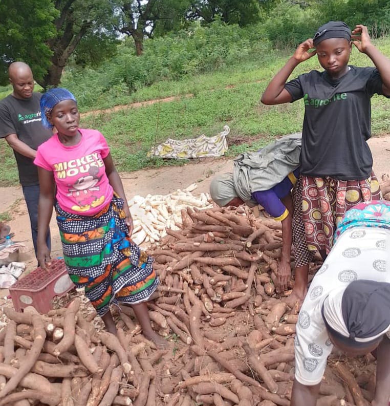 Agrorite tweet media