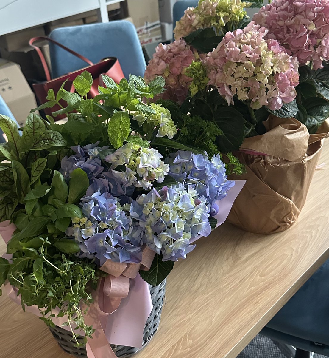 Monika Tenerowicz tweet media