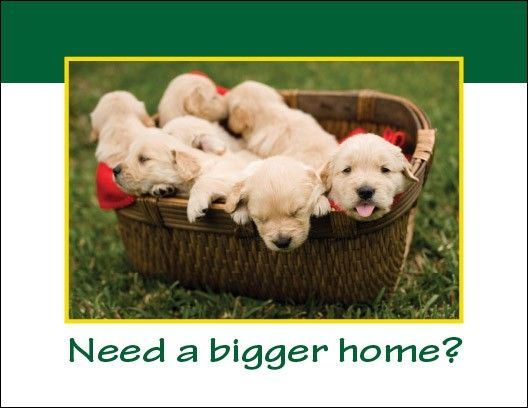 Need a bigger 🏠️? I can help with that!

TiffanyMorrisettRealEstate.com