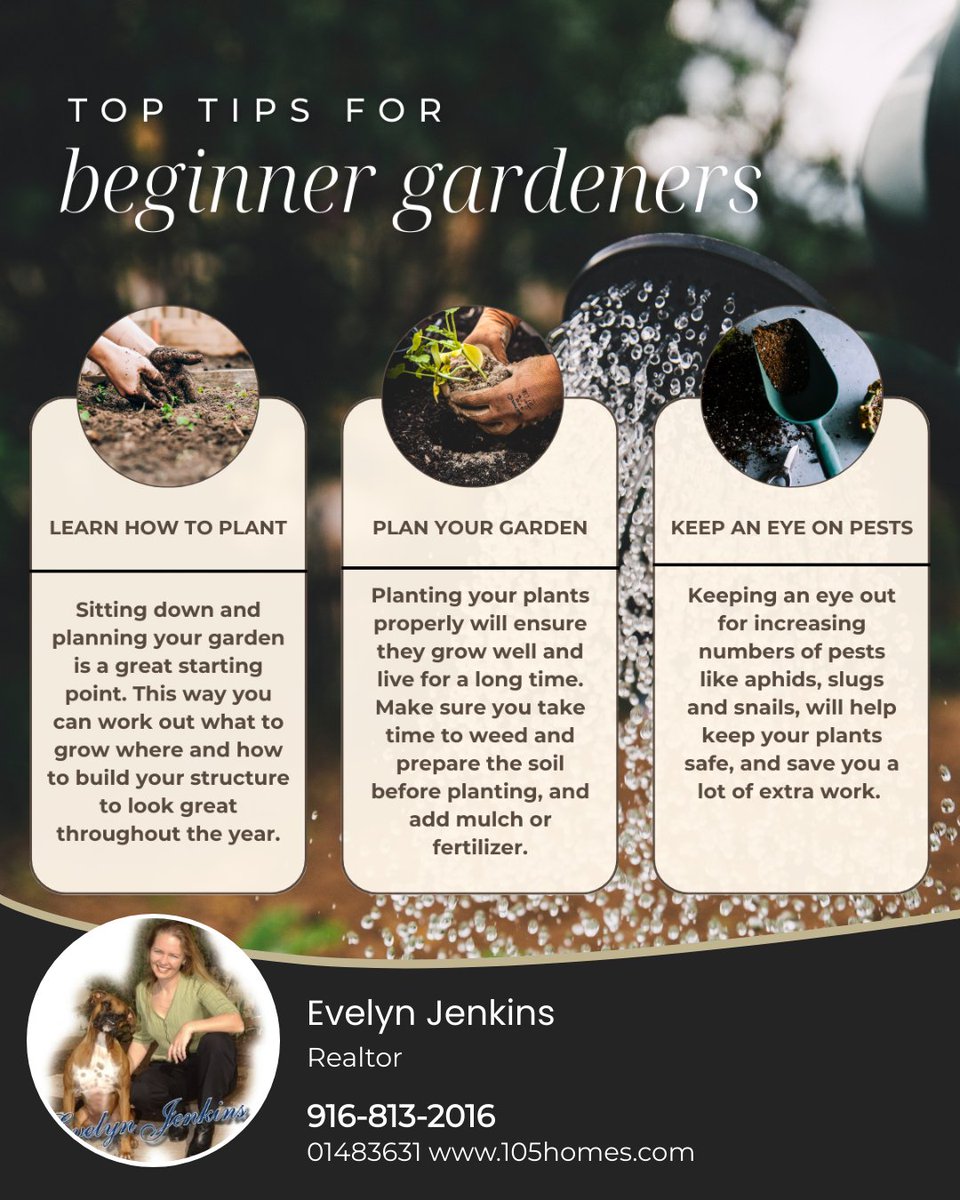 Are you looking to add a garden to your backyard this Summer? Here are some good tips to get you started! 🌱
#homegarden #homegardening #homegardenlove #springgarden #springgardening #springgoals #gardentips