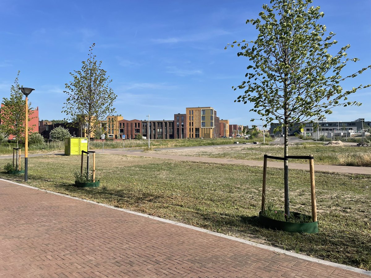 Vanmorgen gonsde het hier nog van de bijen en vlinders, was er een schuilplek voor de hazen en fazanten. En toen kwamen de maaiers van @GemeenteUtrechtalle Alle door bewoners gezaaide bloemen weg. Waarom? 
<a href="/Stadsecoloog030/">Stadsecoloog030</a> <a href="/PartijvdDieren/">Partij voor de Dieren</a>