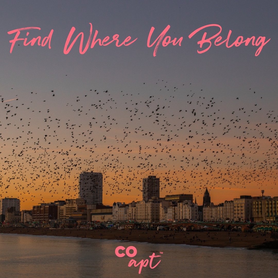Find where you belong - With Coapt⁠
⁠
🏡 coapt.co.uk

#eastsussex #brighton #brightonandhove #sunset #home #belong #lettings #property #findwhereyoubelong